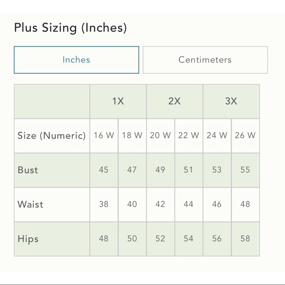 Anthropologie Gabrielle Floral Plisse Robe - NWT - SZ 1X/2X - Picture 11 of 13